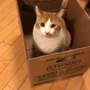 Meet your Posher, Betty